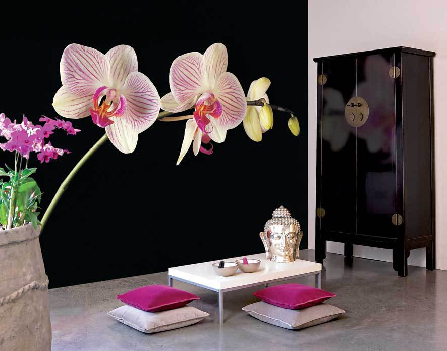 Обои с орхидеями для стен фото интерьера