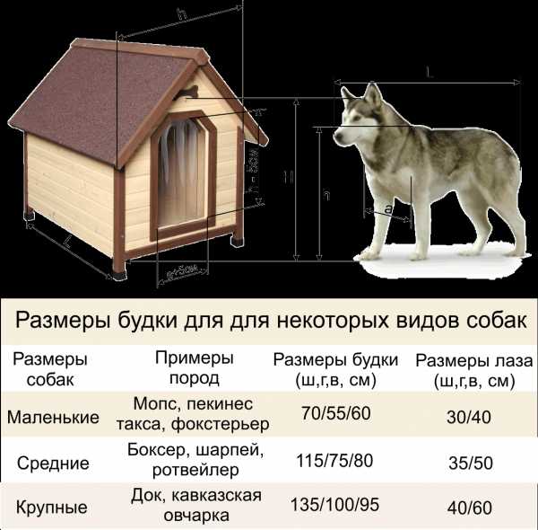 Размеры будки для собаки овчарки